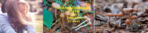бутират Алексин