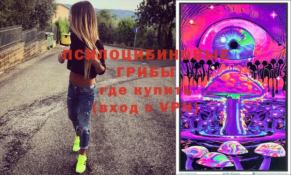 спиды Алзамай